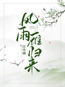 风雨雁归来